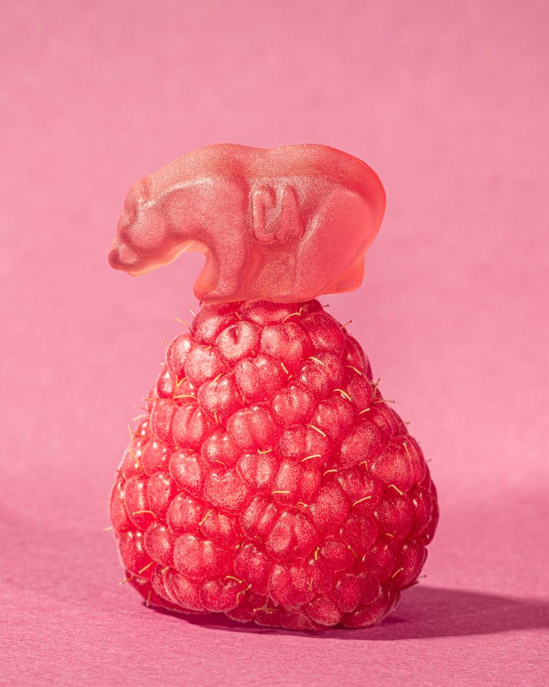 Raspberry Revolution Gummy Bears