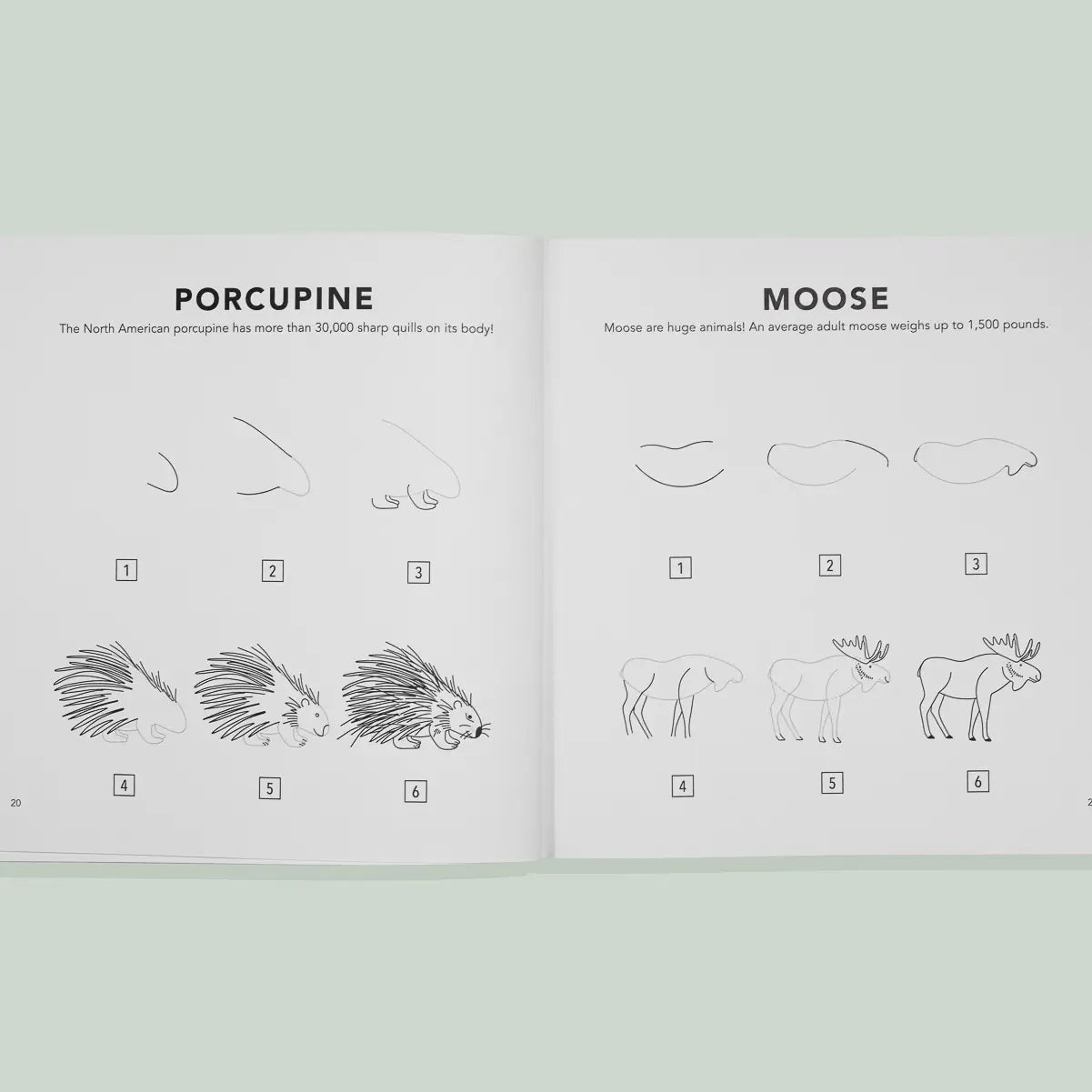 Mushrooms & Woodland Creatures: A Kids Drawing Book