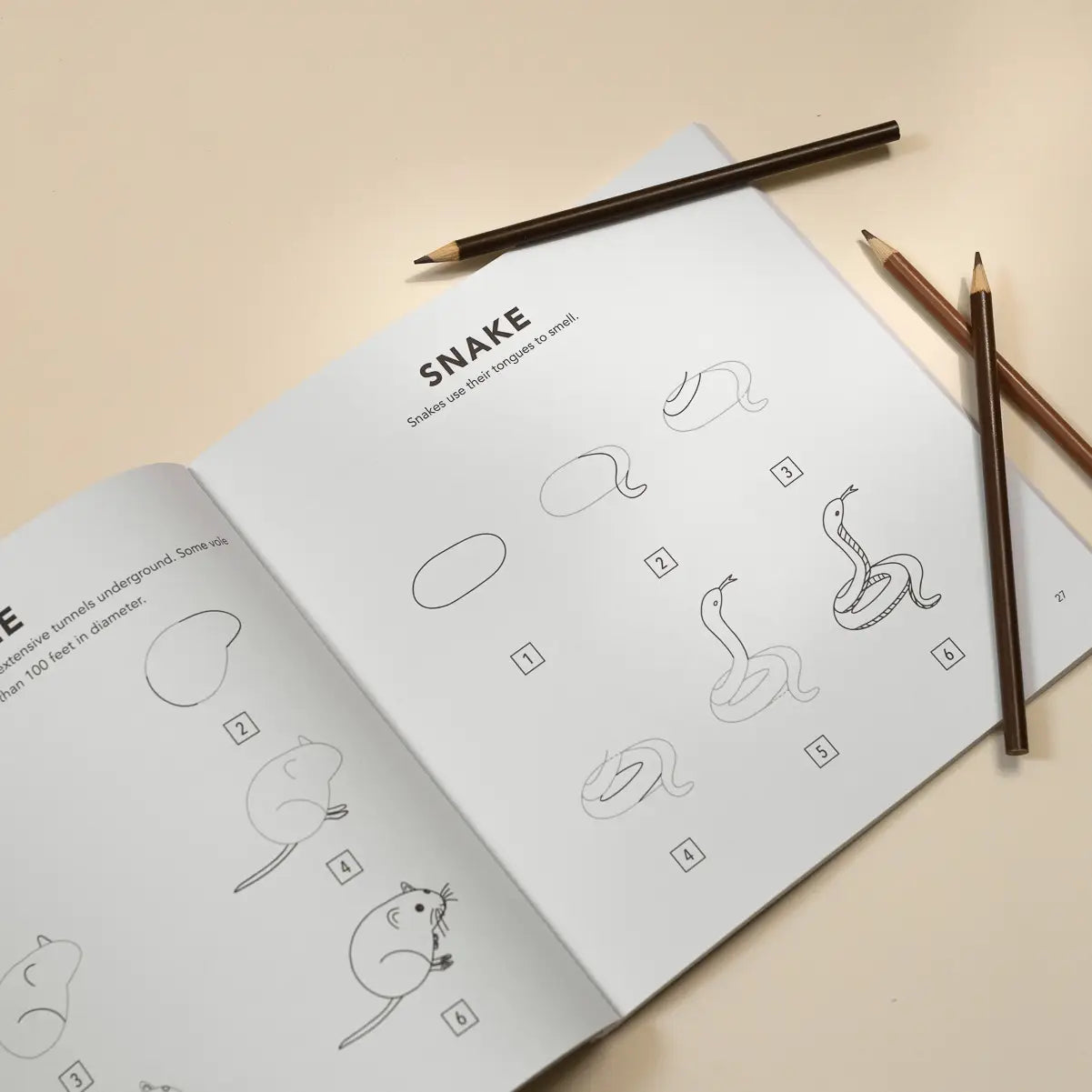 Mushrooms & Woodland Creatures: A Kids Drawing Book