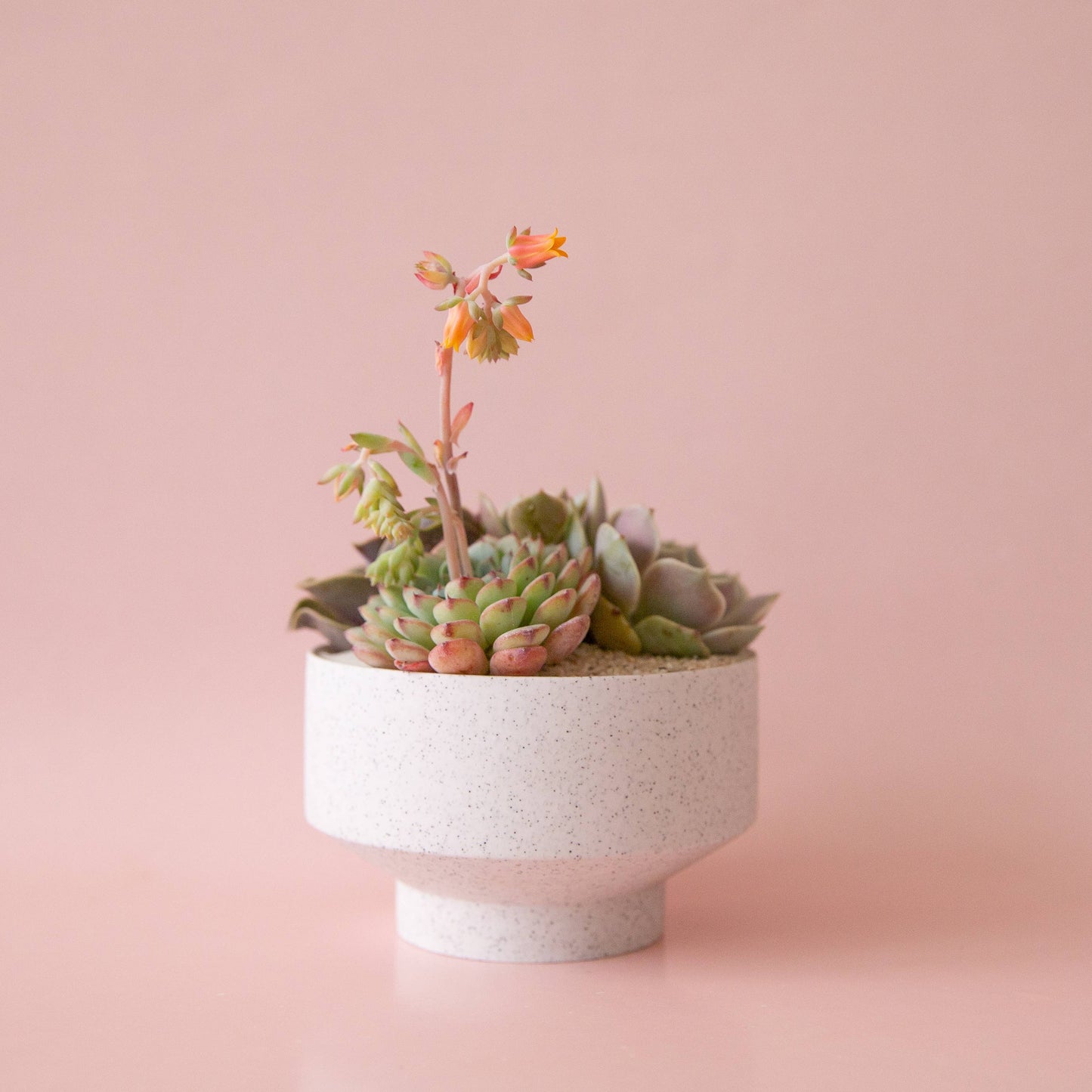 Speckle Footed Pot - White Large