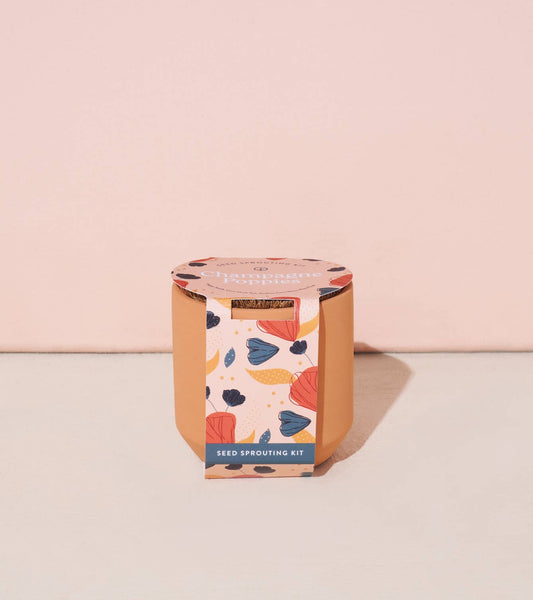 Champagne Poppies Tiny Terracotta Grow Kits