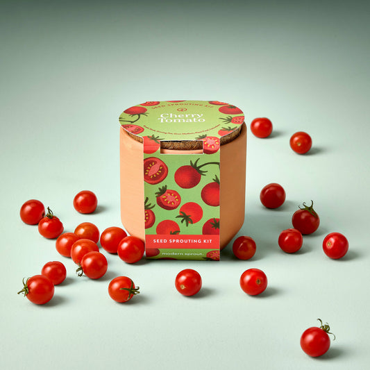 Cherry Tomato Tiny Terracotta Garden Kit