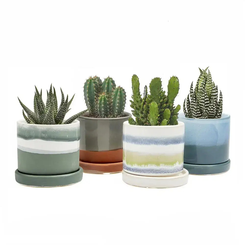 Minute Ceramic Plant Pots Indoor