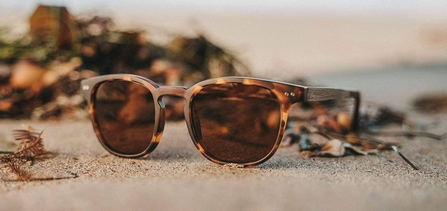 Camp Topo Sunglasses - Matte Tortoise