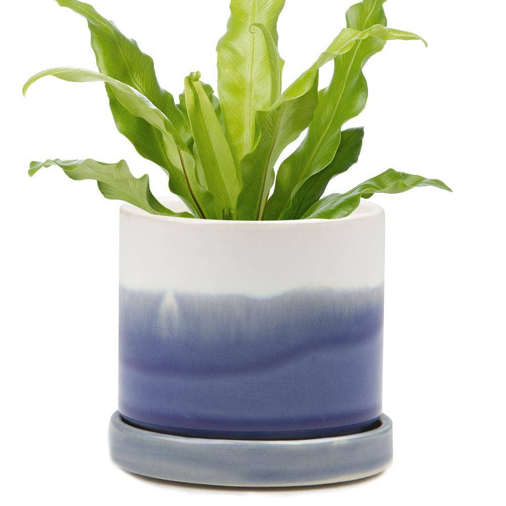 Minute Ceramic Plant Pots Indoor