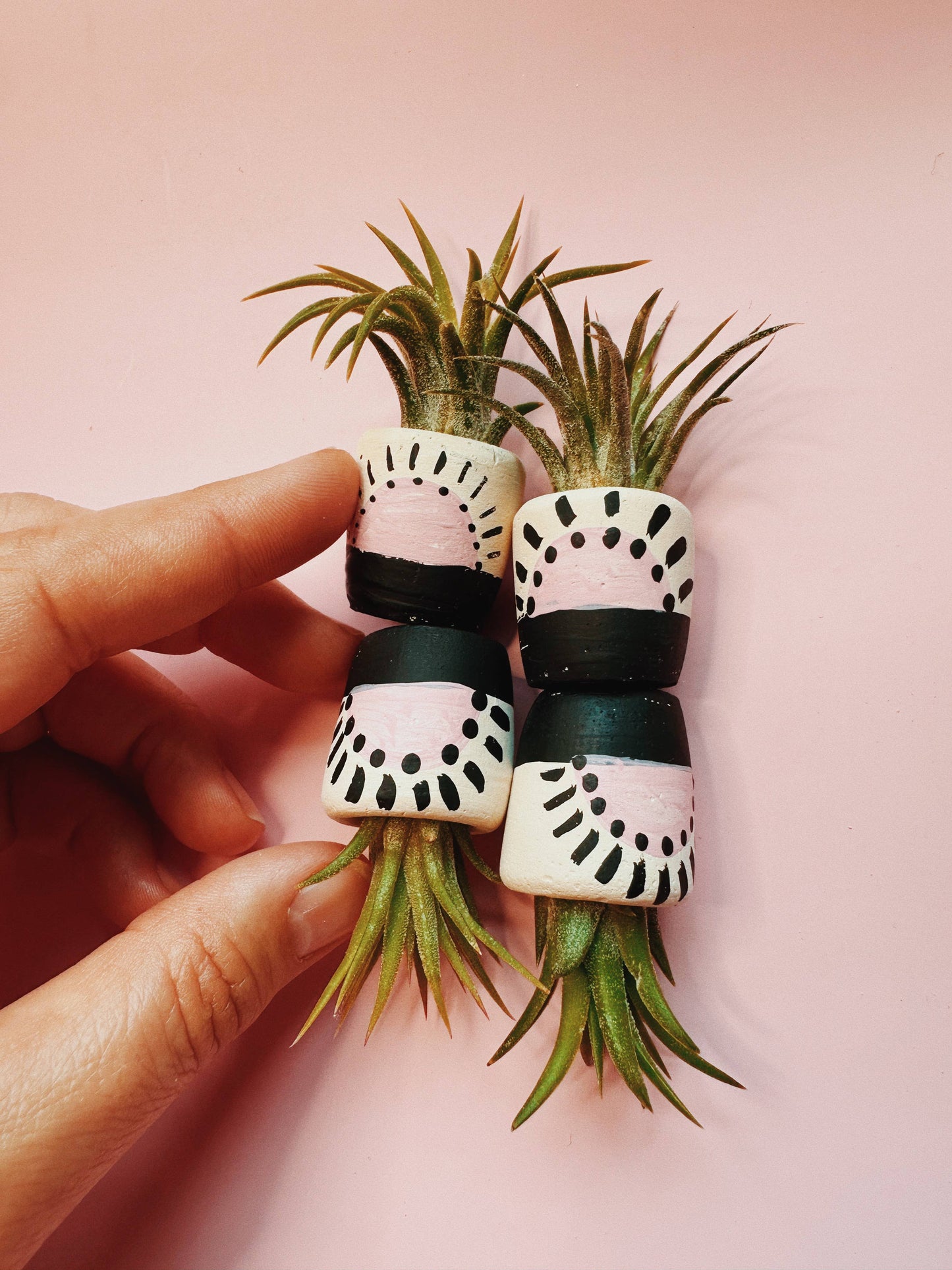 Pink Sun Mini Planter