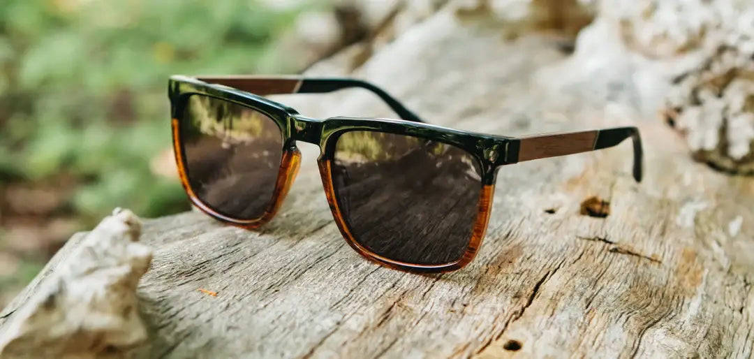 Camp Ridge Sunglasses - Black/Tortoise