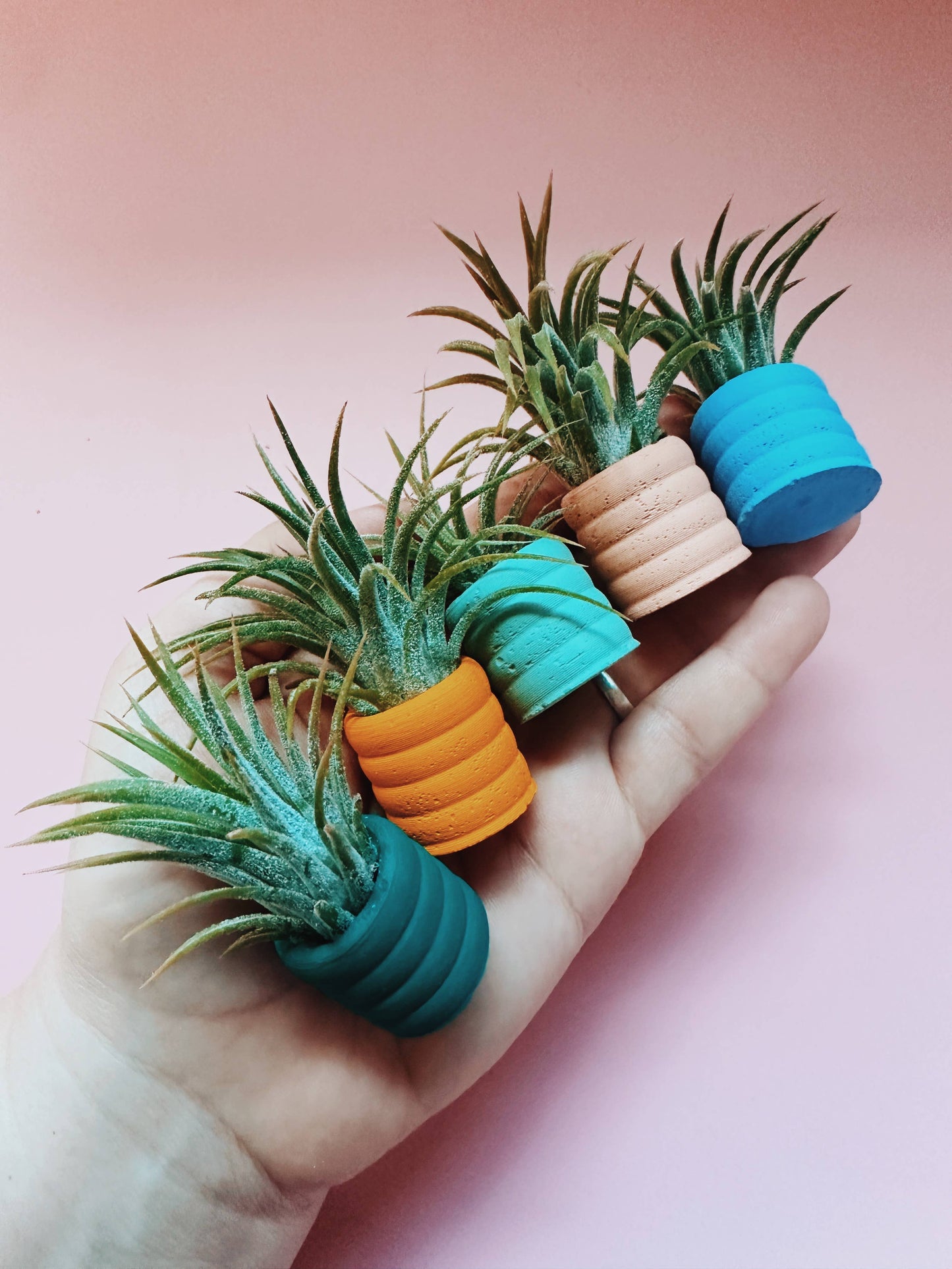 Sky Blue Mini Planter with Air Plant