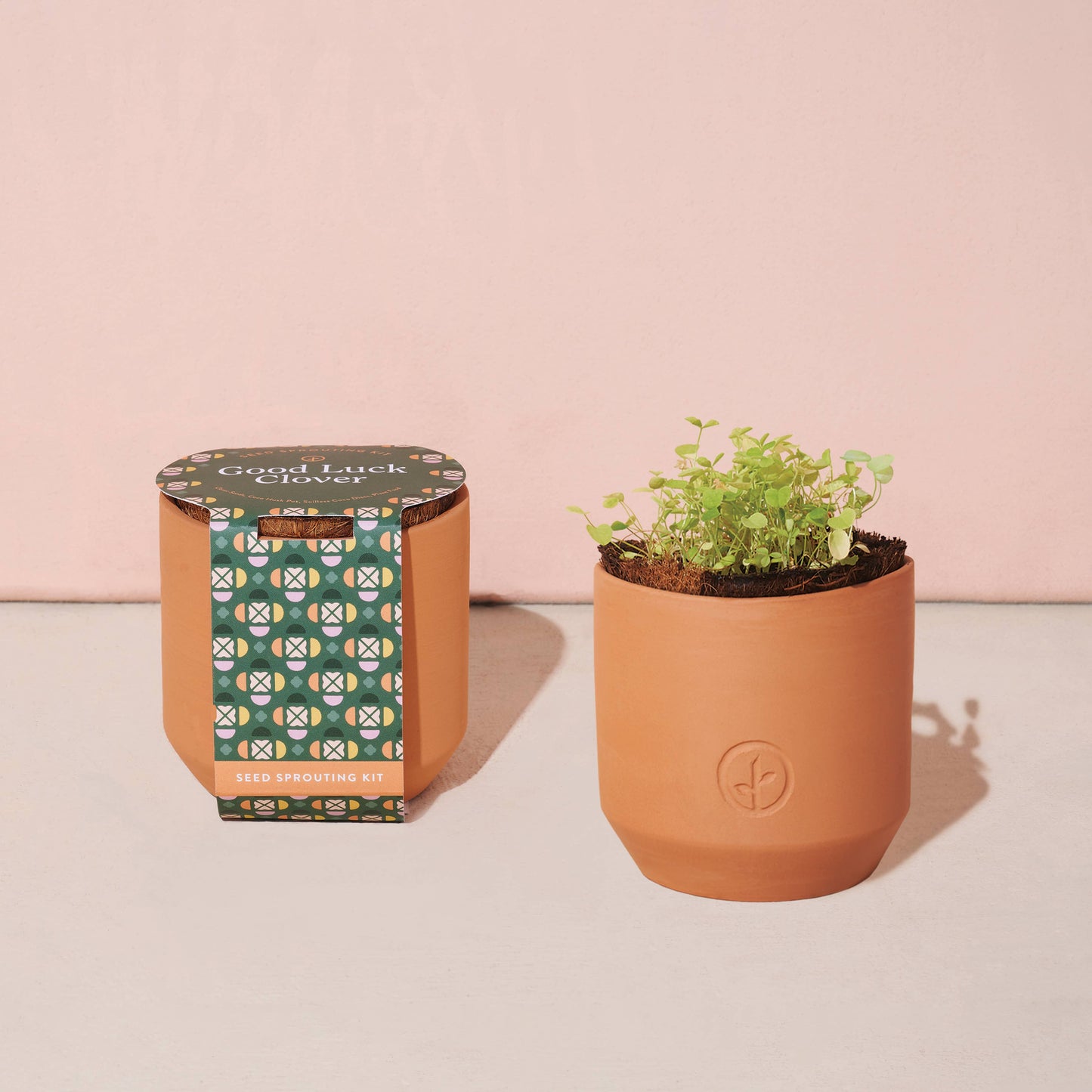 Good Luck Clover Tiny Terracotta Grow Kits