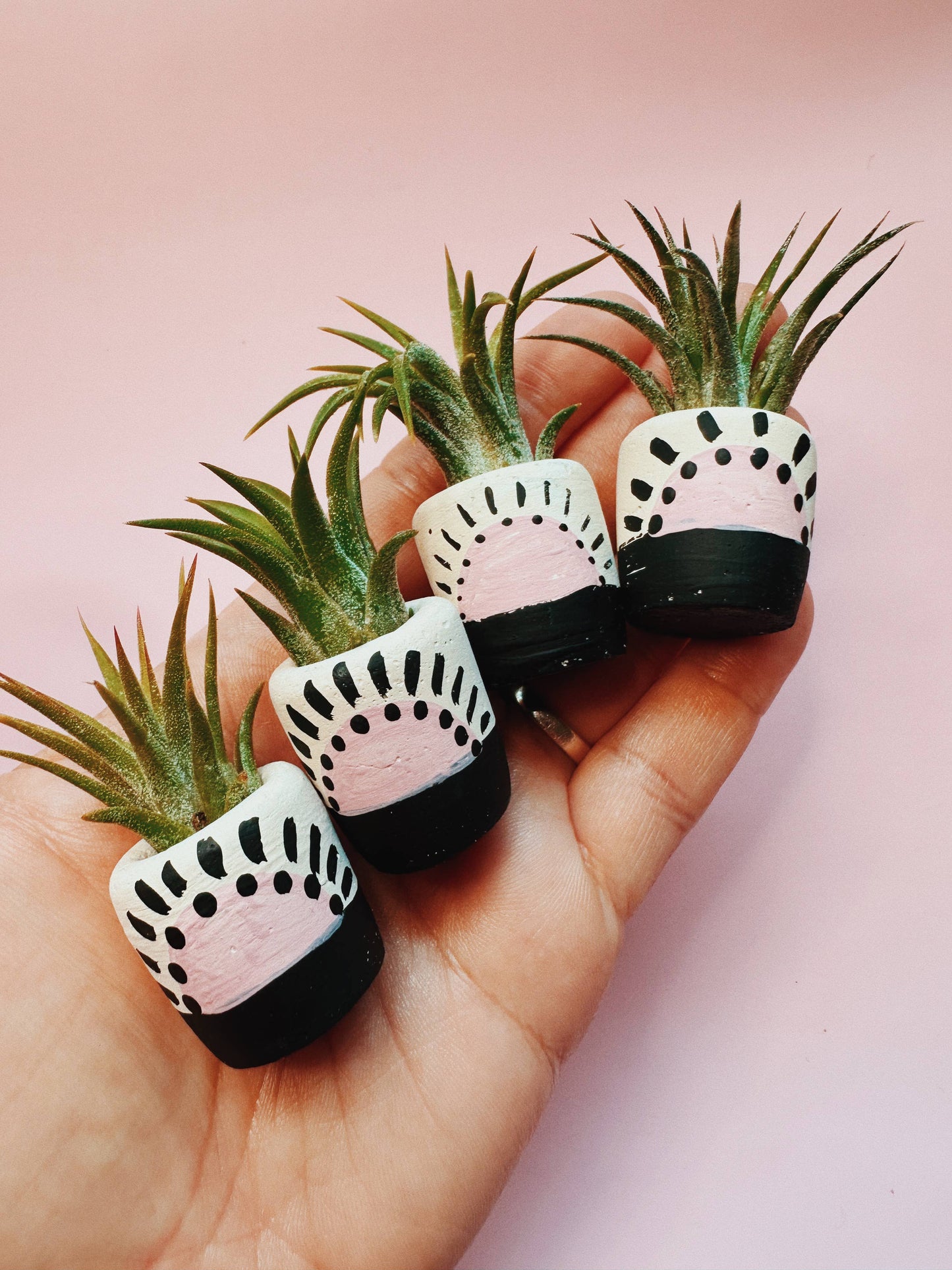 Pink Sun Mini Planter
