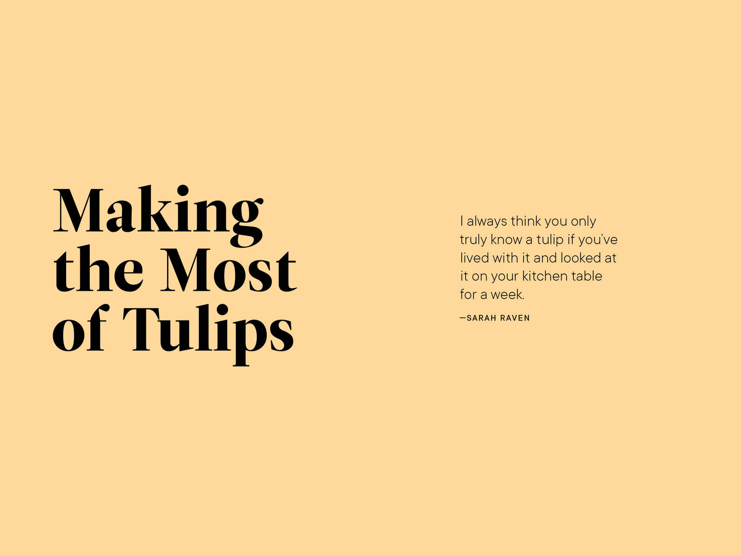 A Little Book of Flowers: Tulips