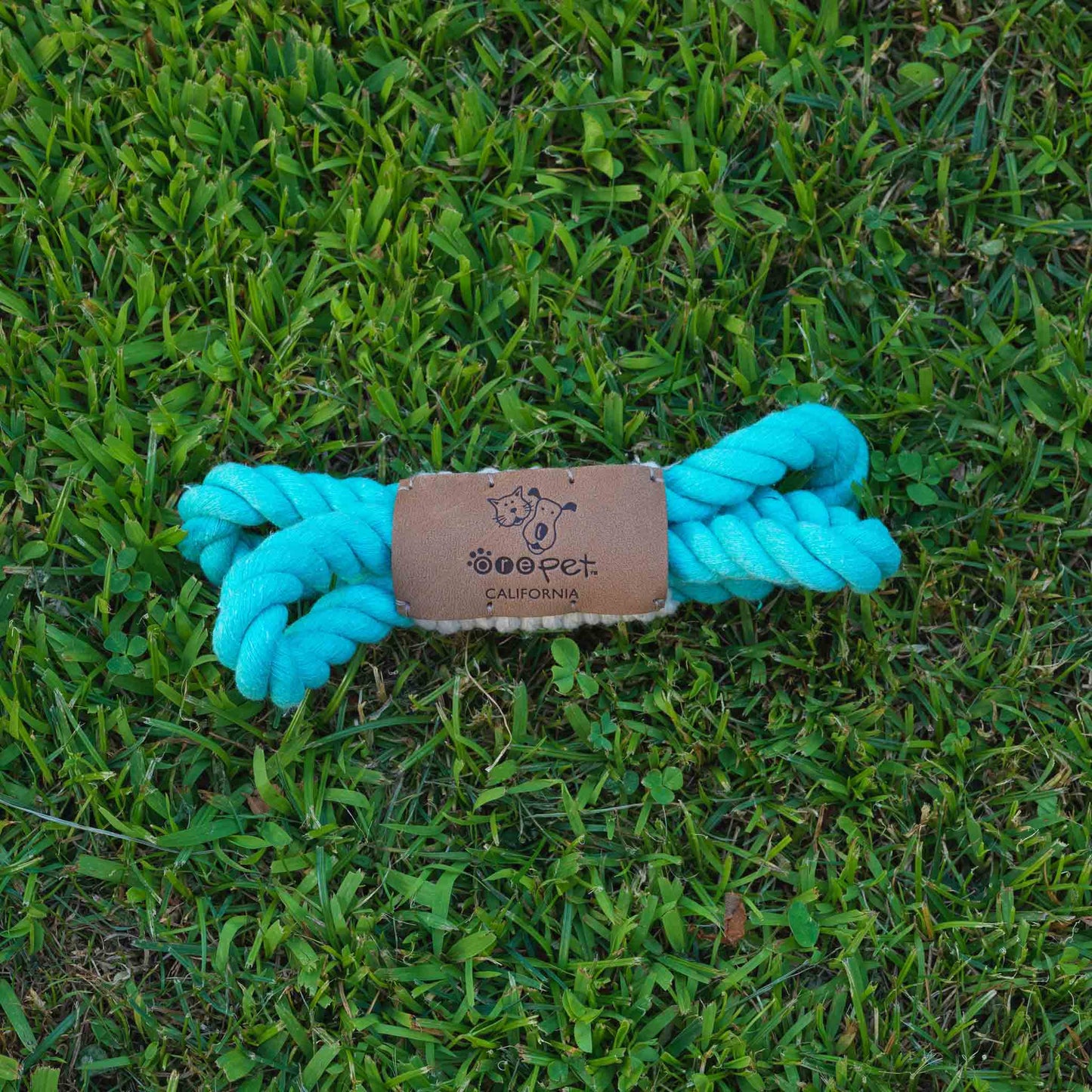 Mini Loop Dog Toy | Jade