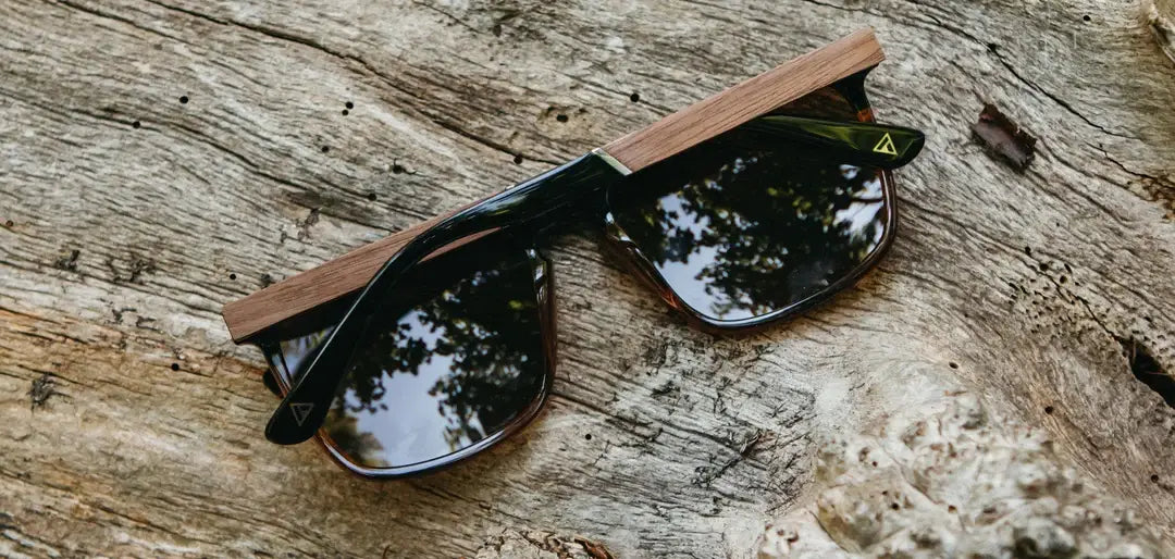 Camp Ridge Sunglasses - Black/Tortoise