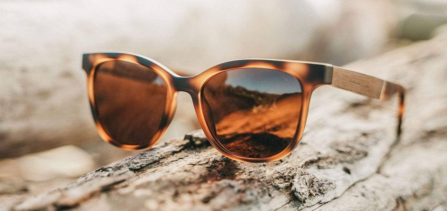 Camp Cove Sunglasses - Matte Tortoise