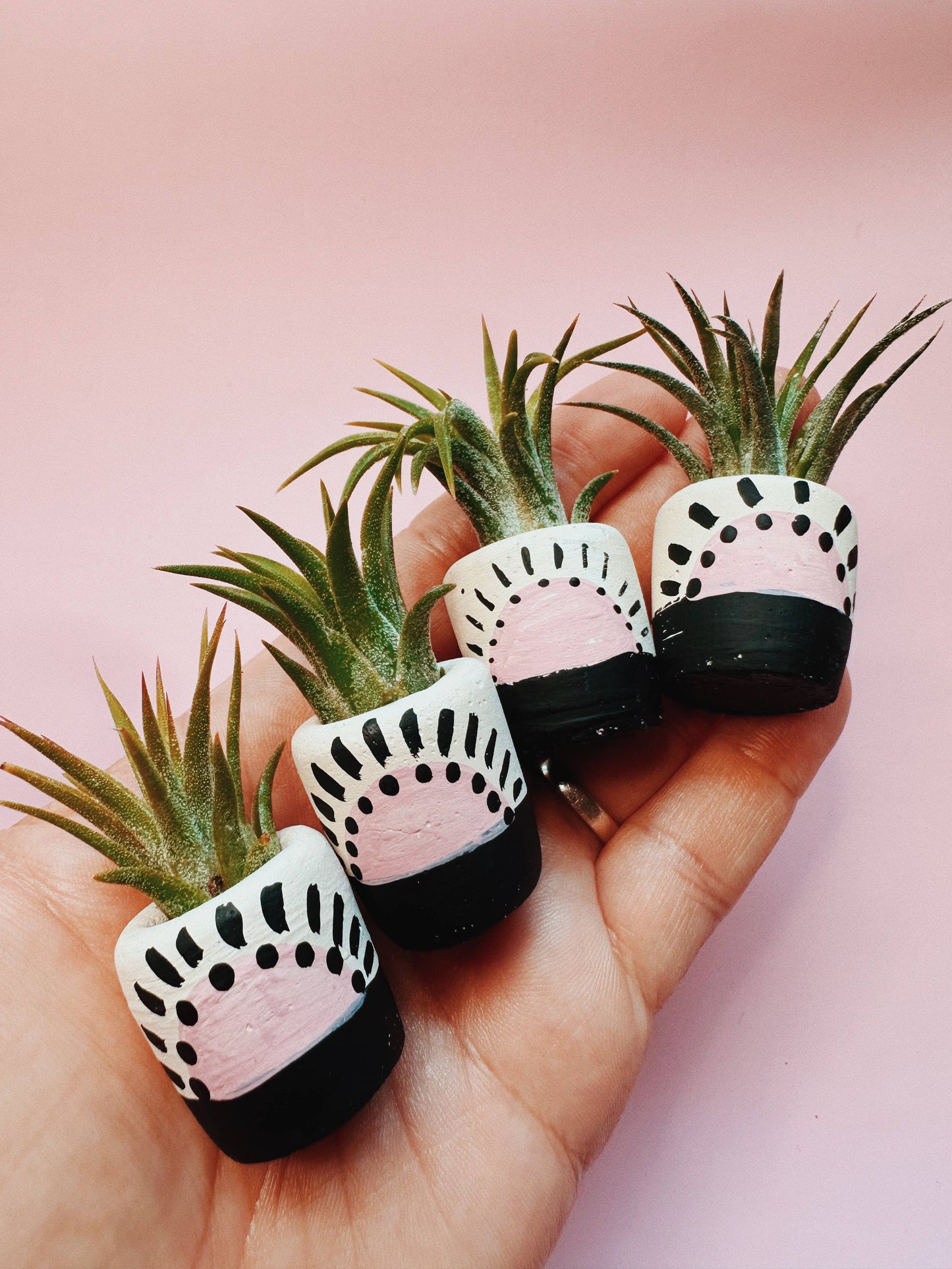 Pink Sun Mini Planter