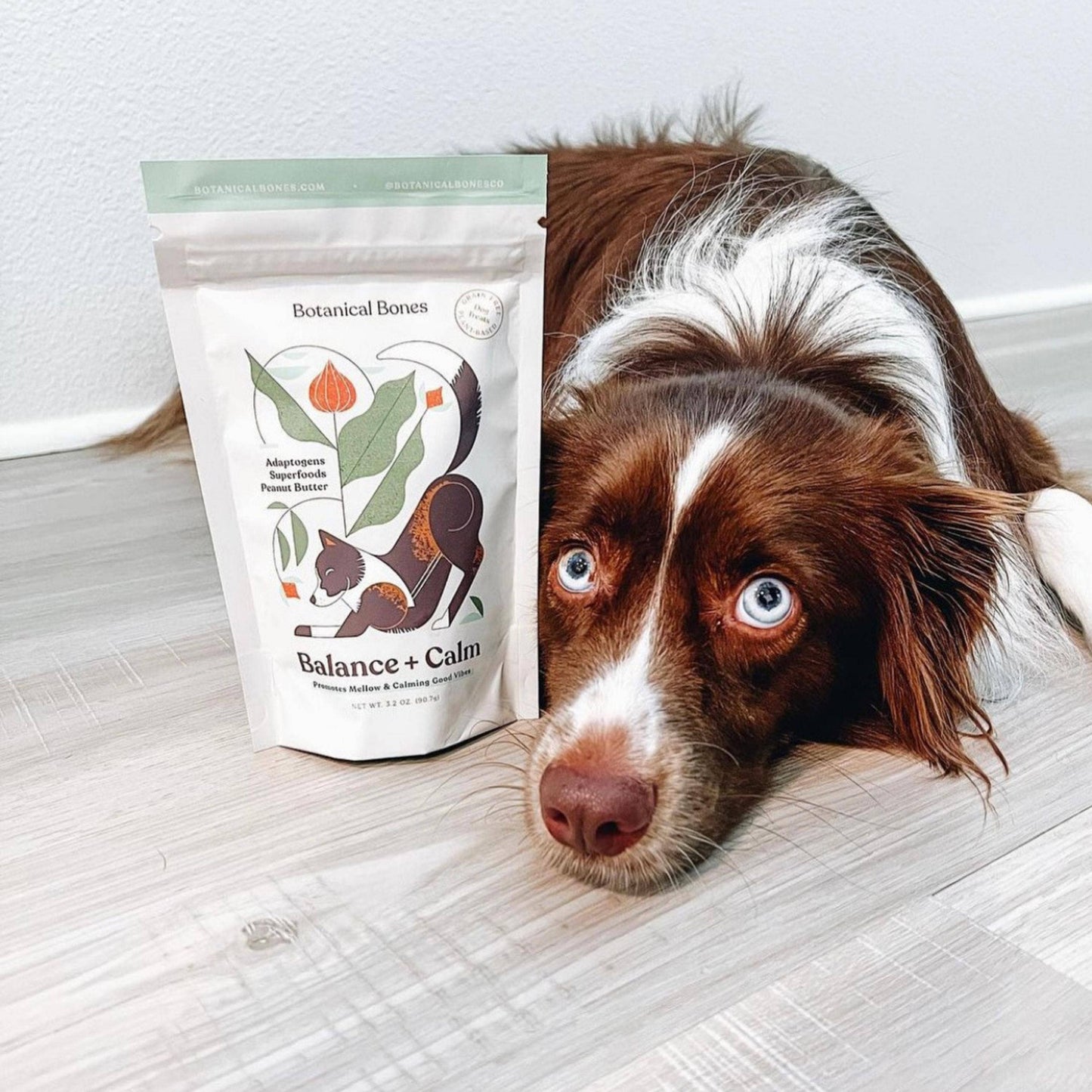 Balance + Calm - Superfood Dog Treats