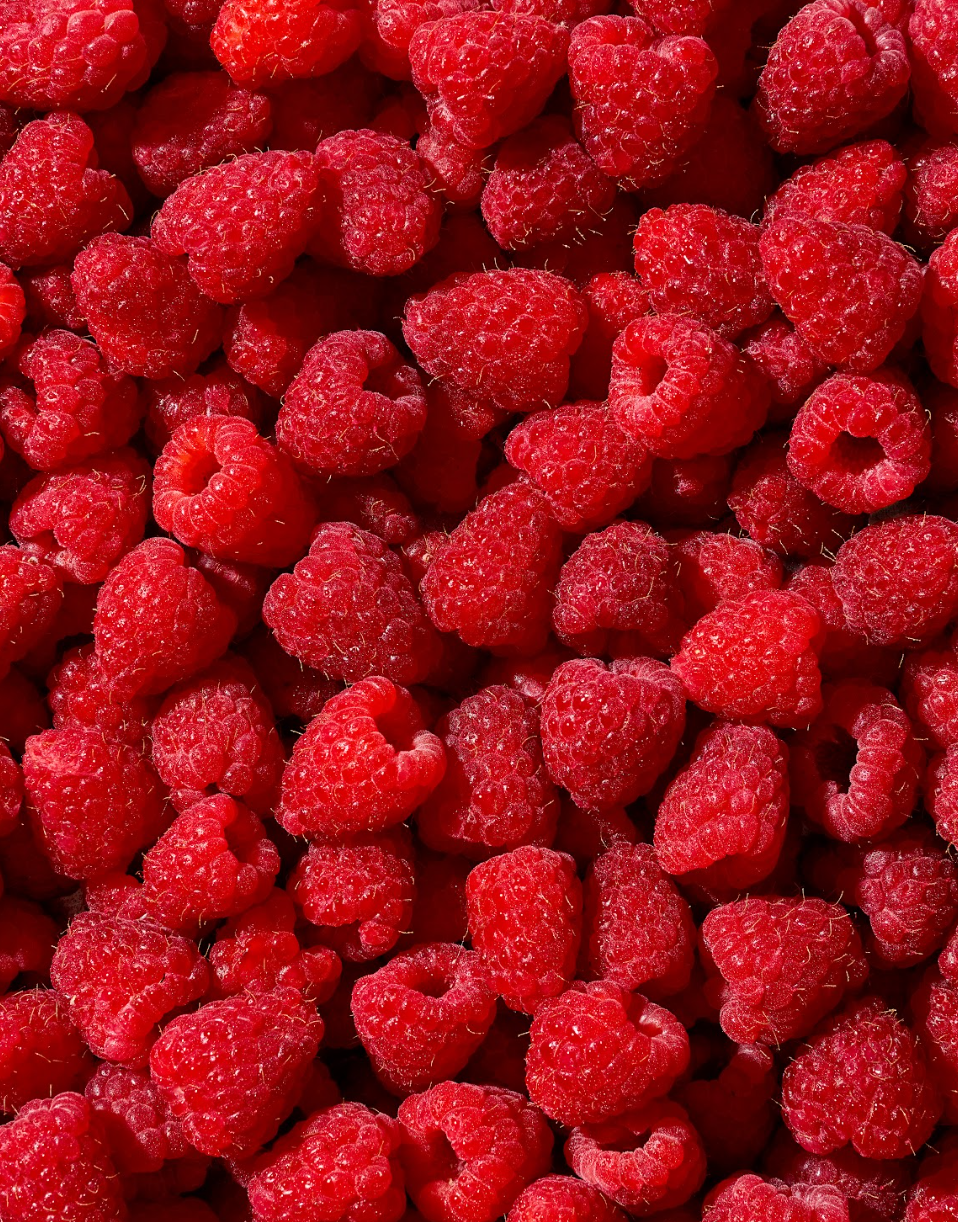 Thin & Crisp Oat Cookies, White Chocolate Raspberry
