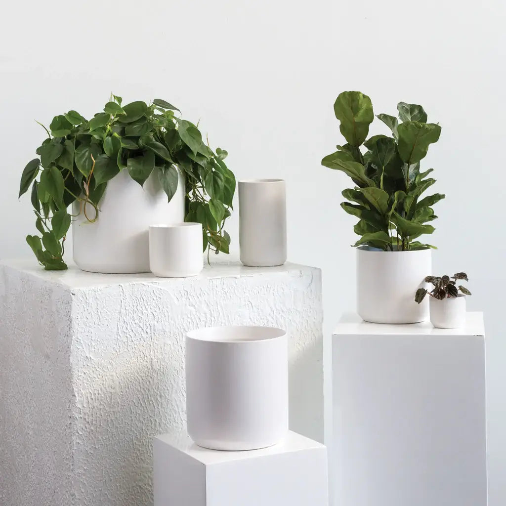 Small White Ceramic Planter Pot