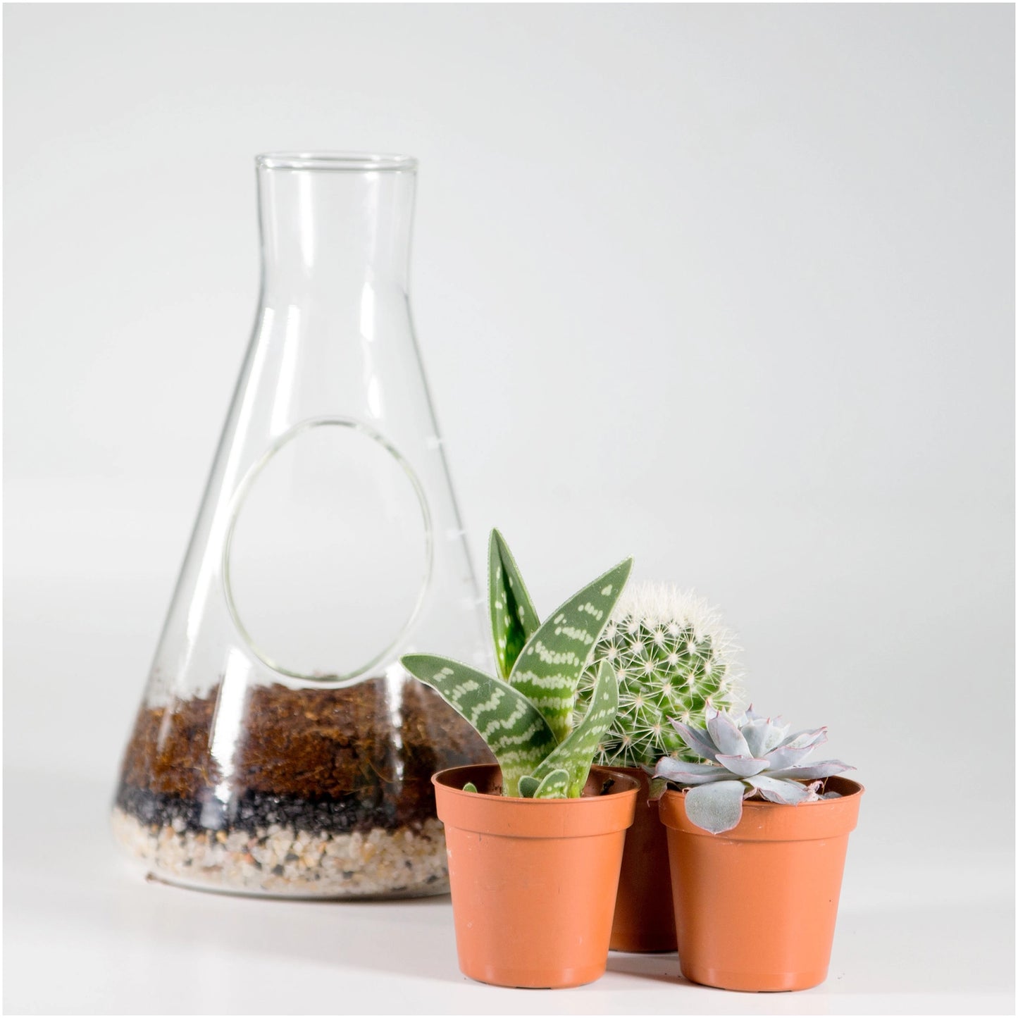 Chemistry Flask Build Your Own Terrarium Kit