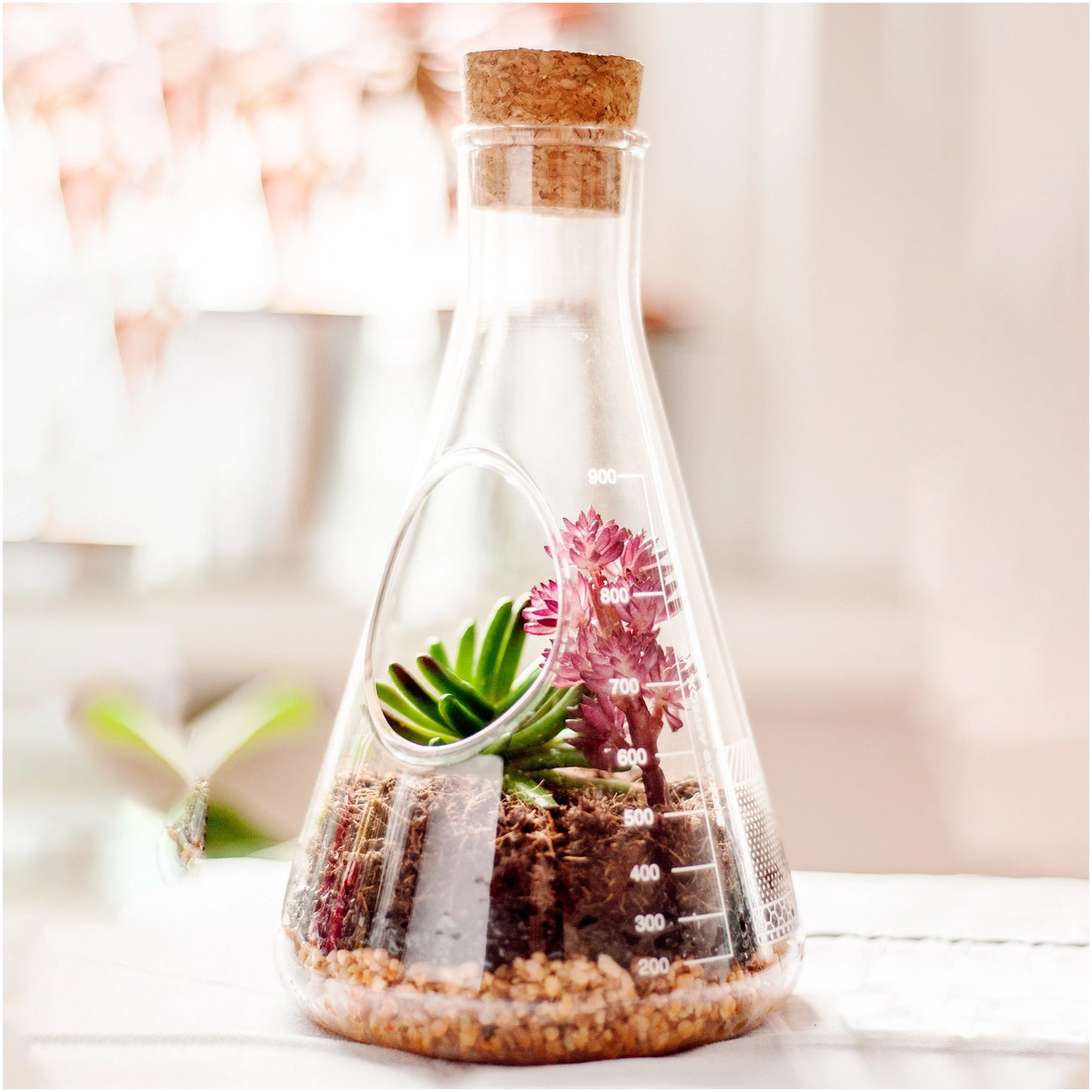 Chemistry Flask Build Your Own Terrarium Kit