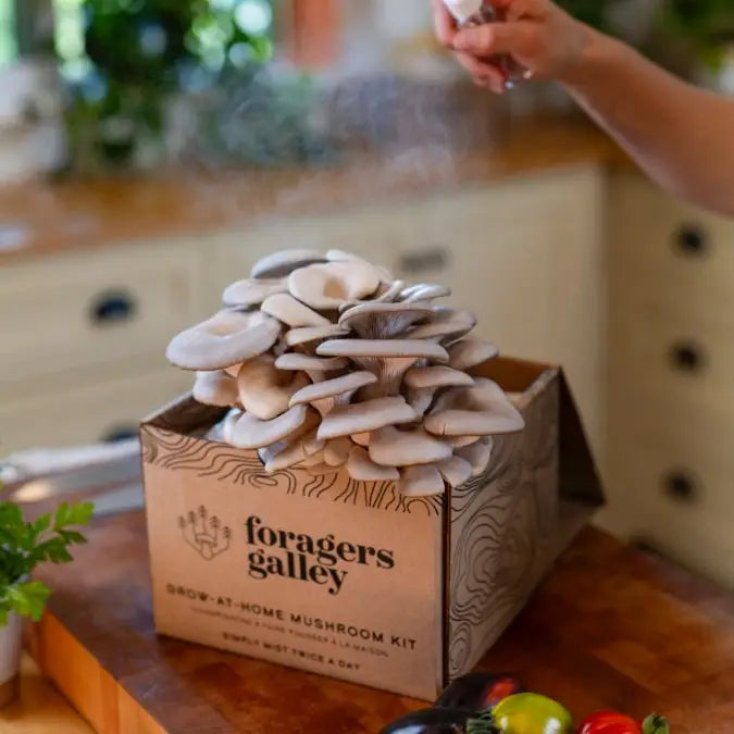 Oyster Mushroom Growing Kit