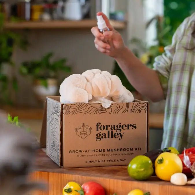 Lion's Mane Mushroom Grow-at-Home Kit