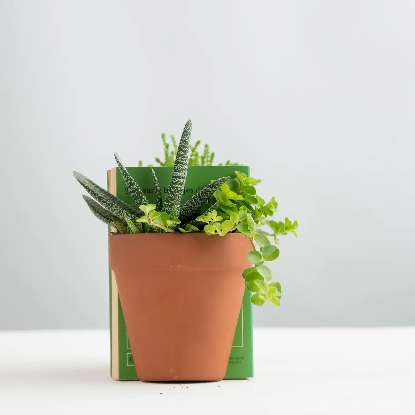 Plant Pot Bookends