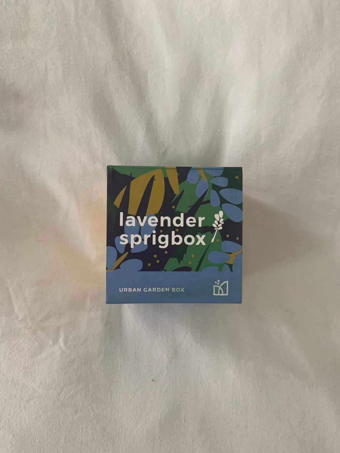 Lavender Grow Kit