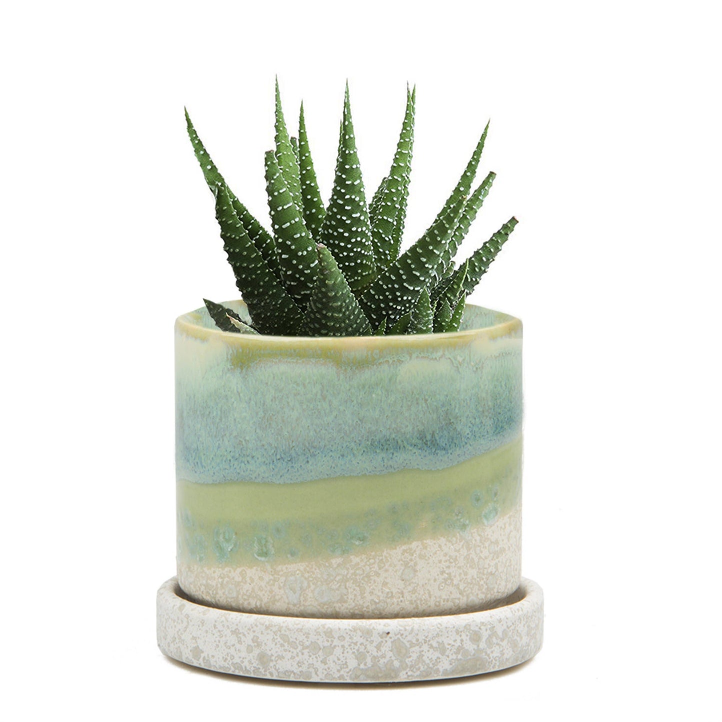 Minute Ceramic Plant Pots Indoor