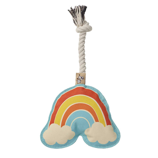 Rope Dog Toy | Rainbow