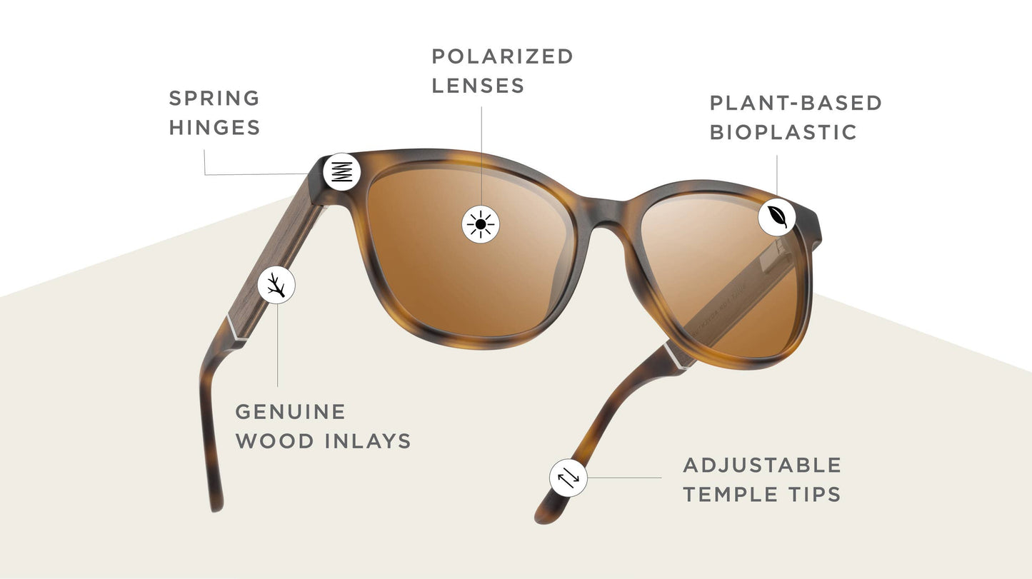 Camp Cove Sunglasses - Matte Tortoise