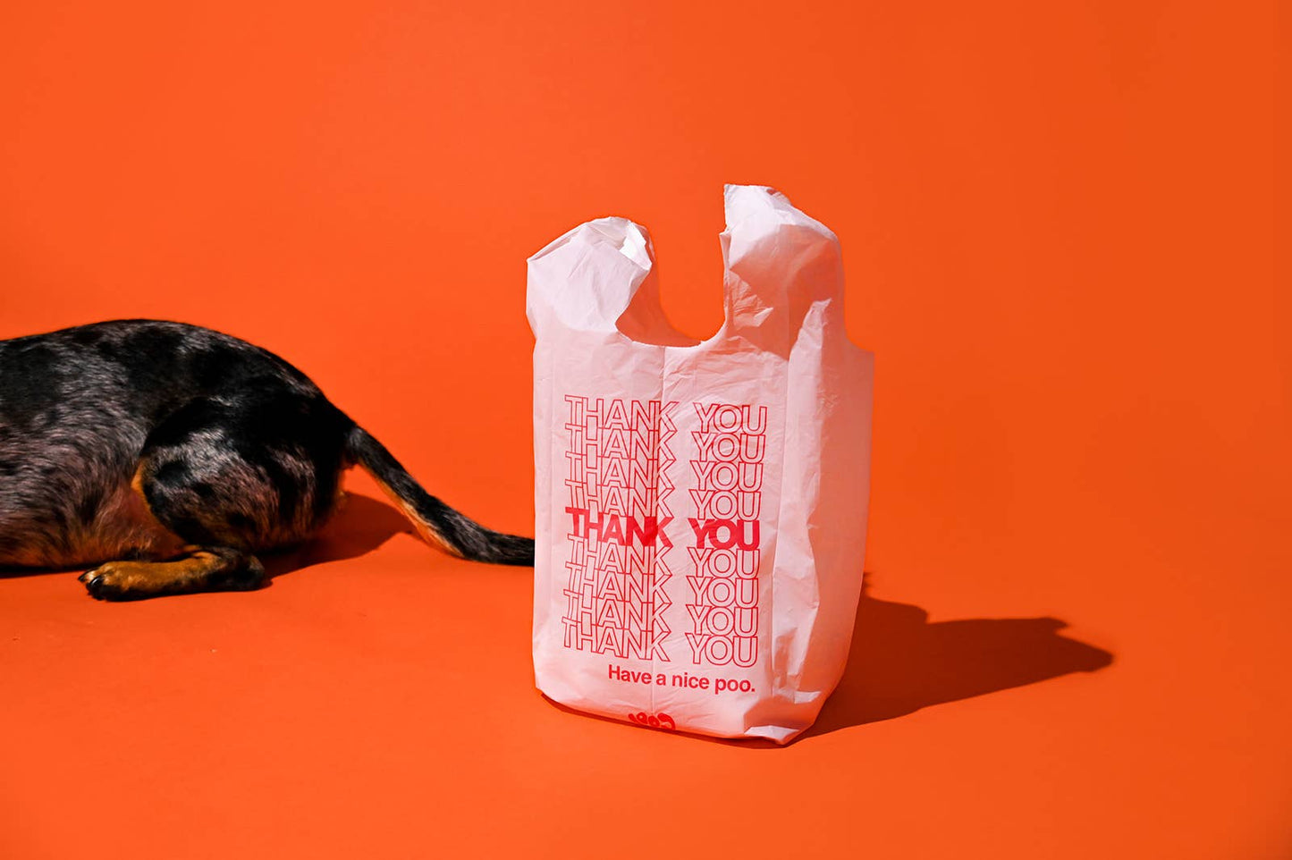 The Thank You Bag