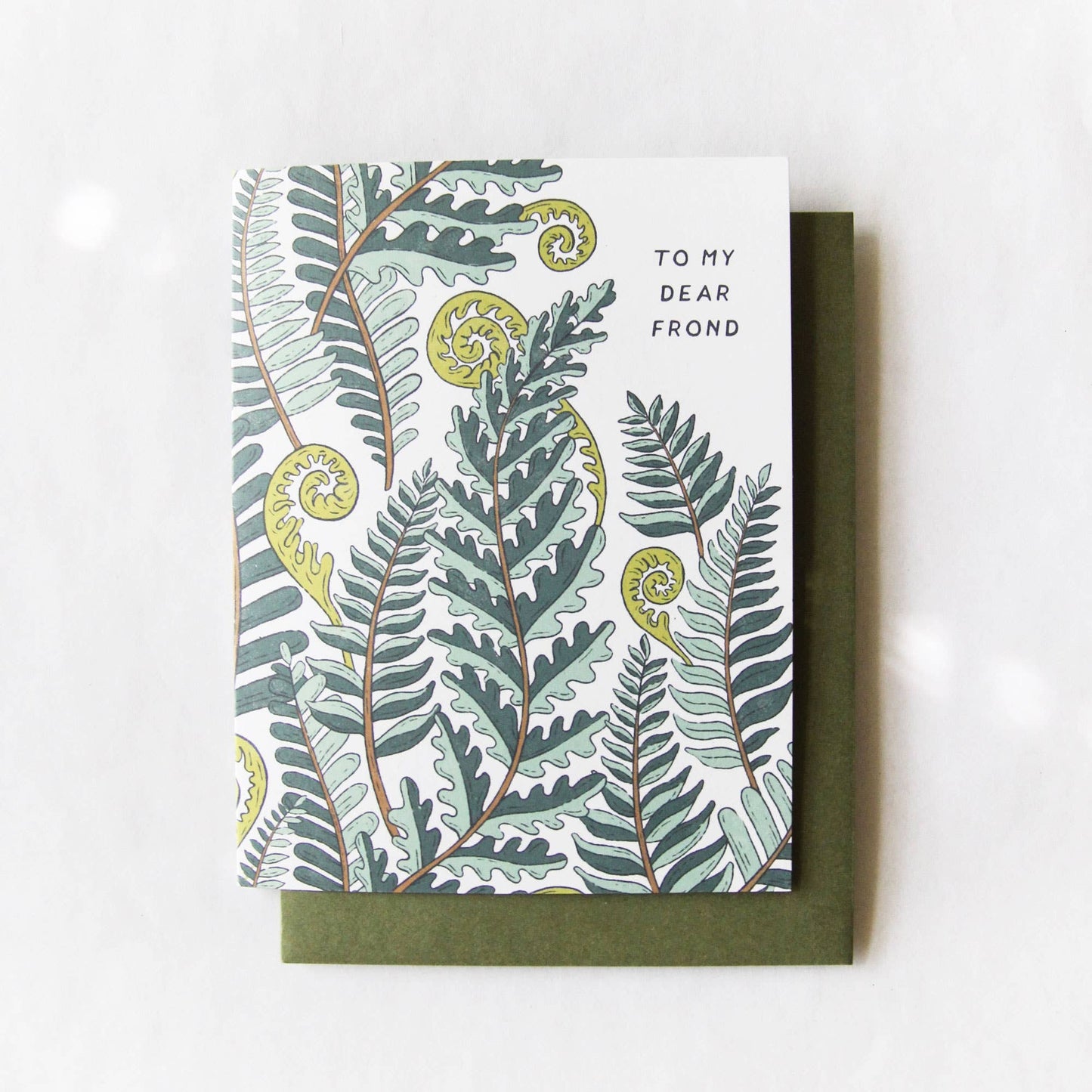 To My Dear Frond - Ferns + Plants Friendship Card