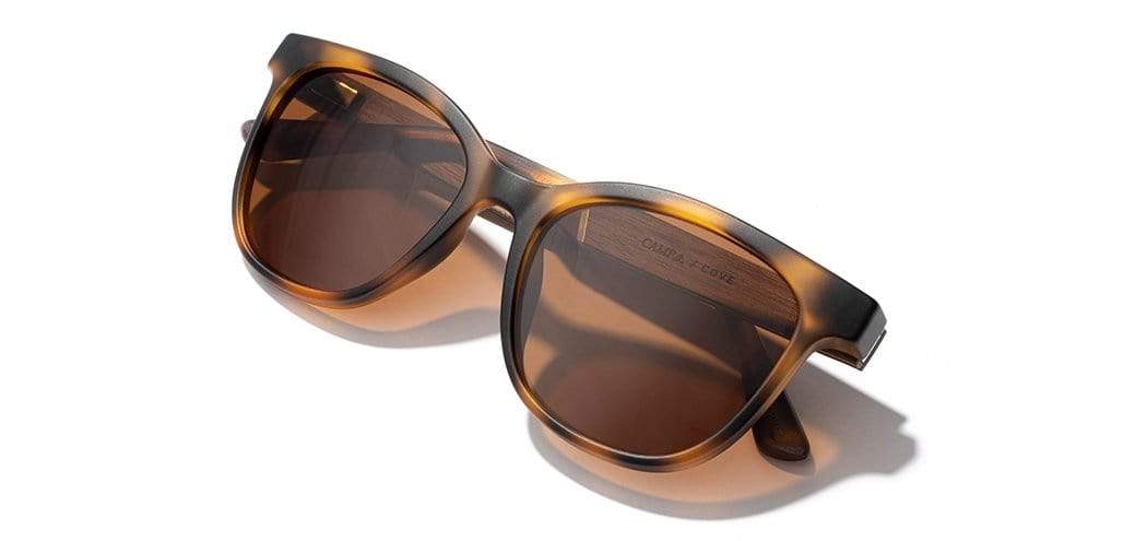 Camp Cove Sunglasses - Matte Tortoise