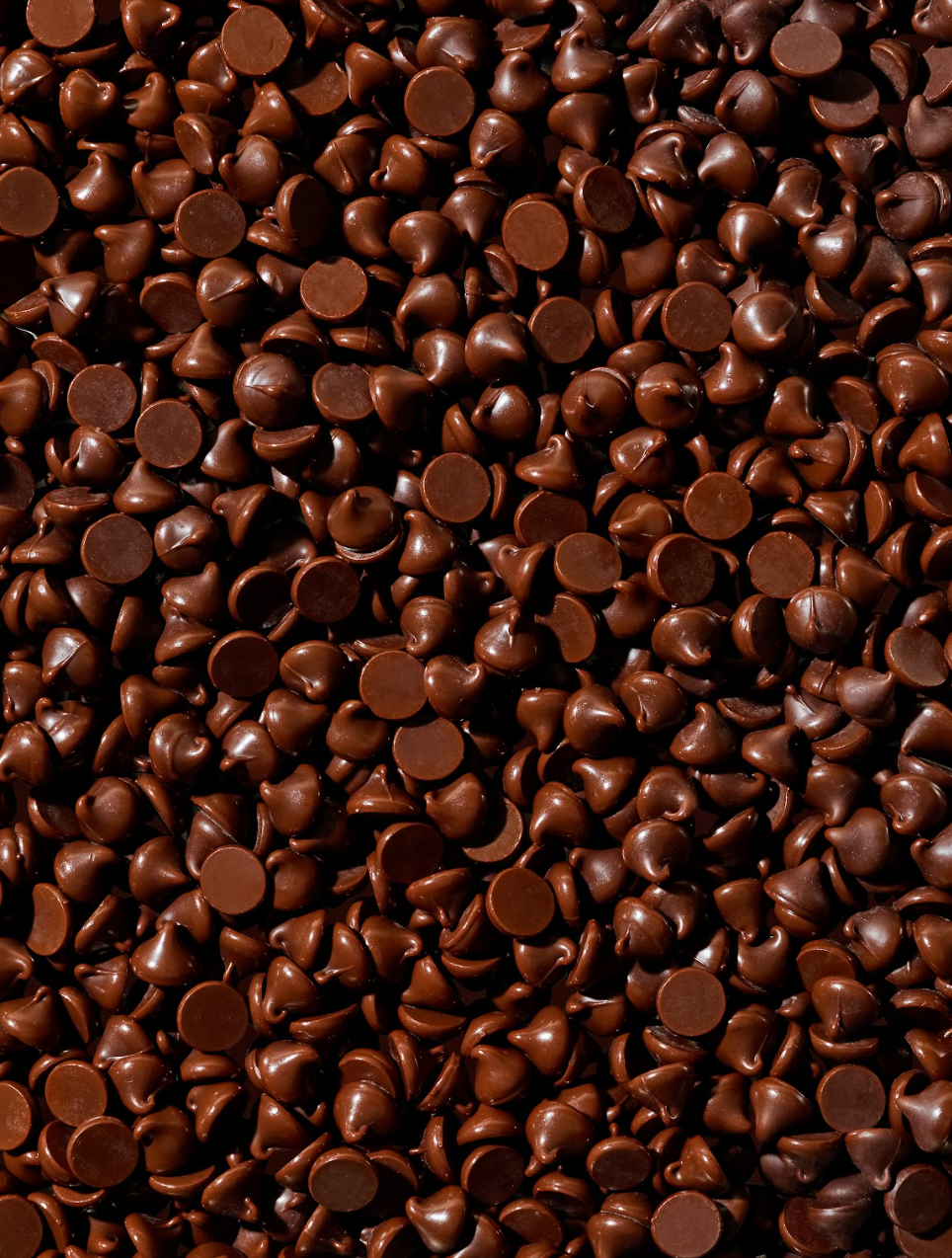 Thin & Crisp Oat Cookies, Dark Chocolate Chip