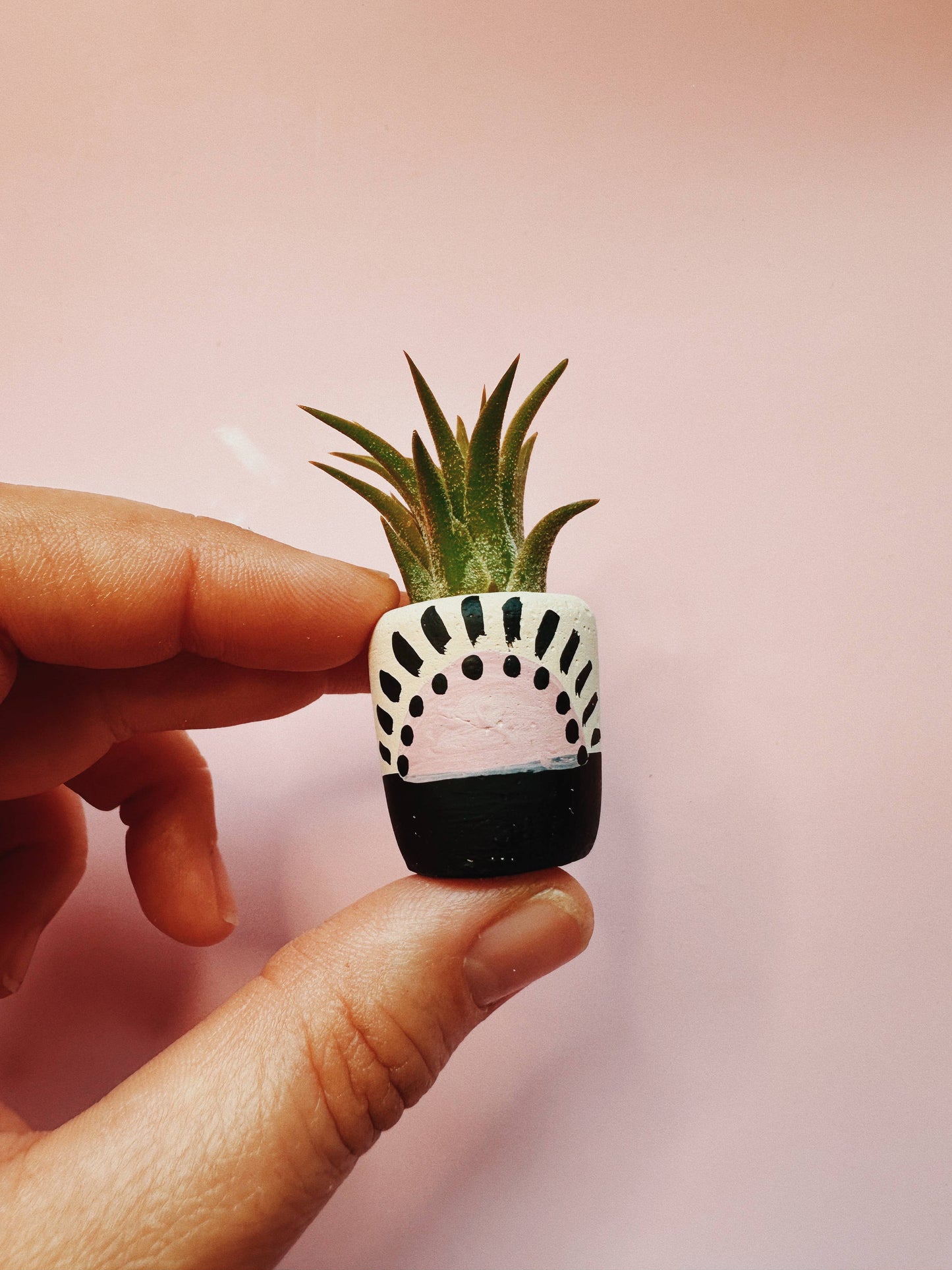Pink Sun Mini Planter