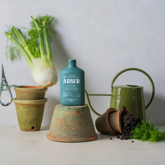 Arber Bio Protectant