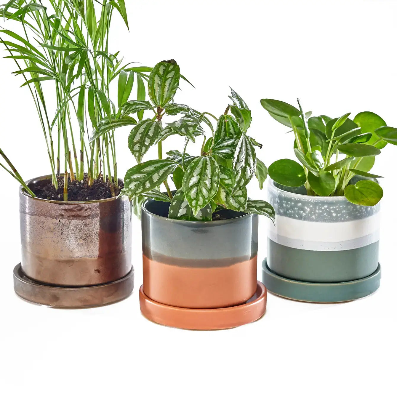 Minute Ceramic Plant Pots Indoor