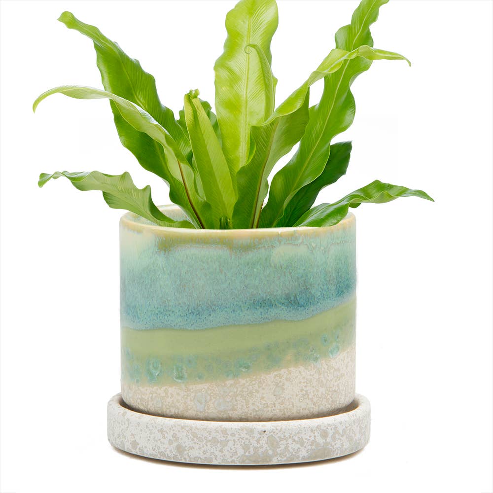 Minute Ceramic Plant Pots Indoor