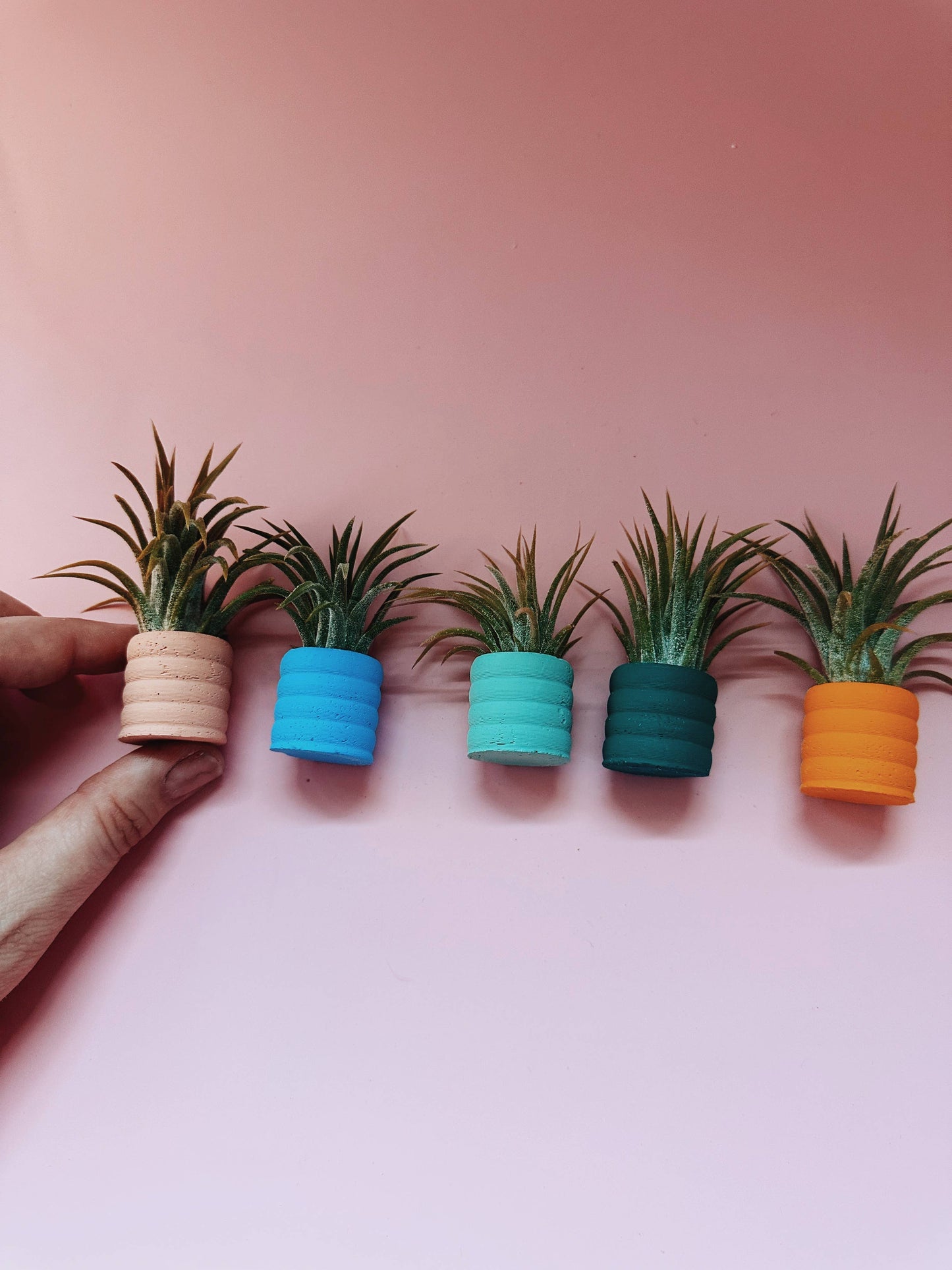 Sky Blue Mini Planter with Air Plant