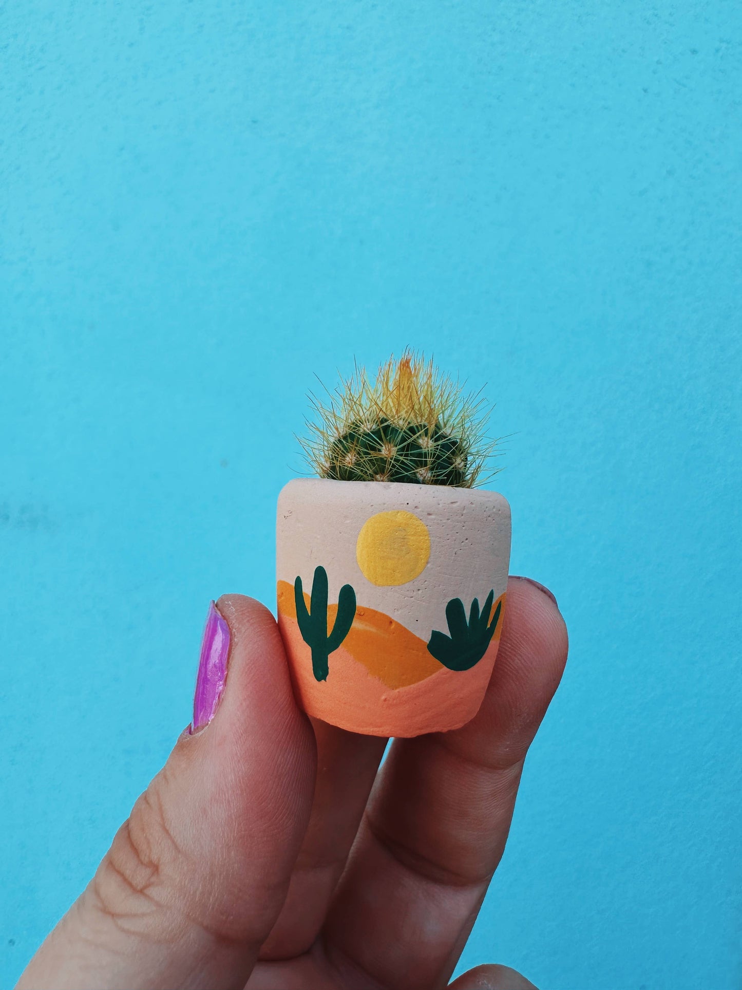 Desert Pot