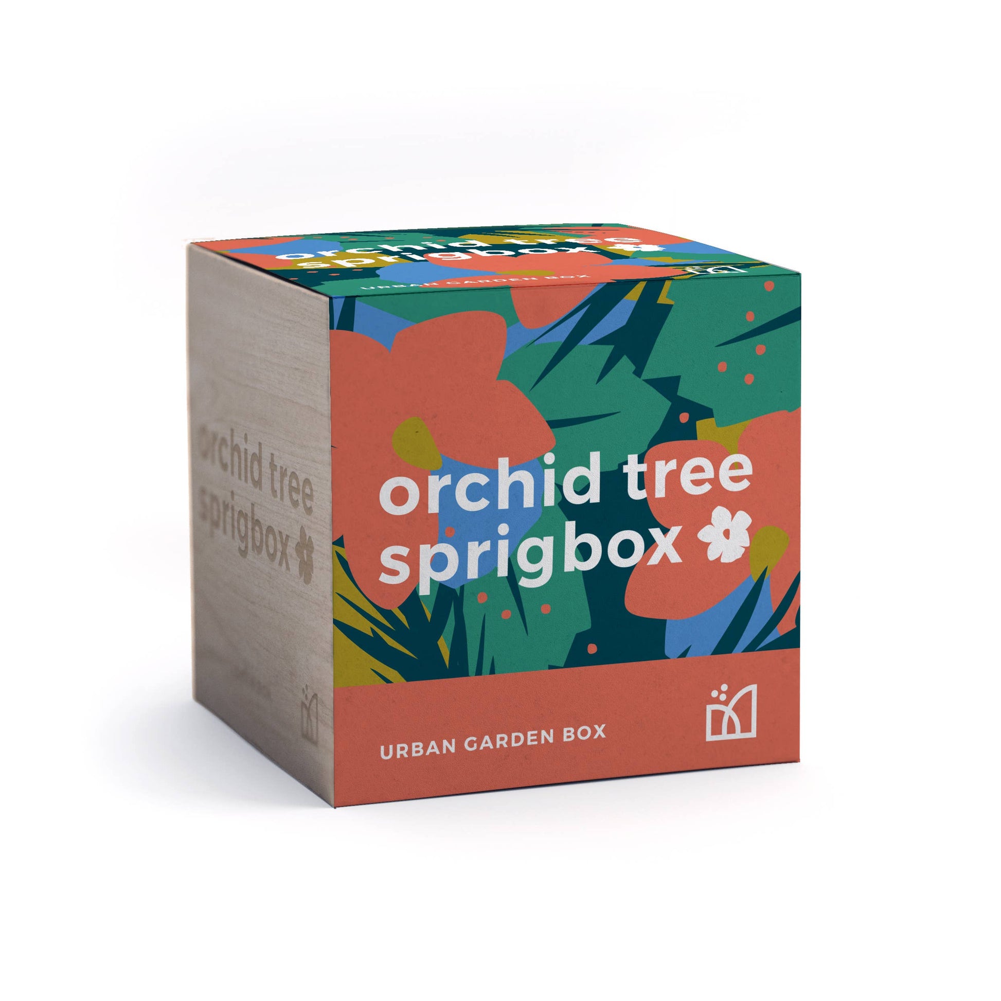 Orchid Tree Grow Kit