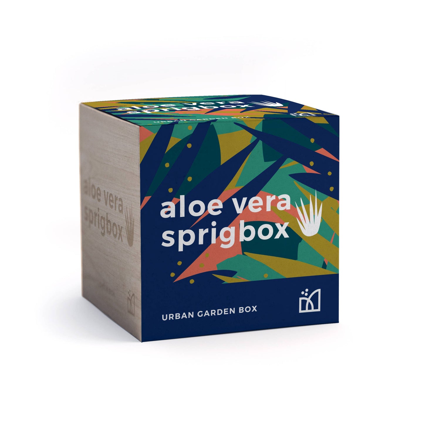 Aloe Vera Grow Kit