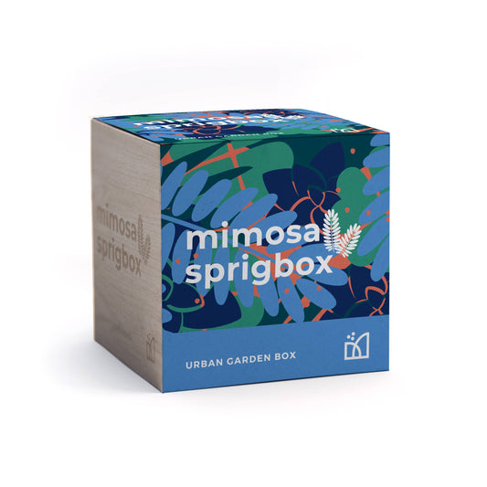 Mimosa Grow Kit